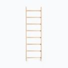 Drabinki gimnastyczne