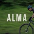 Rower górski Orbea Alma H50 black/green 17