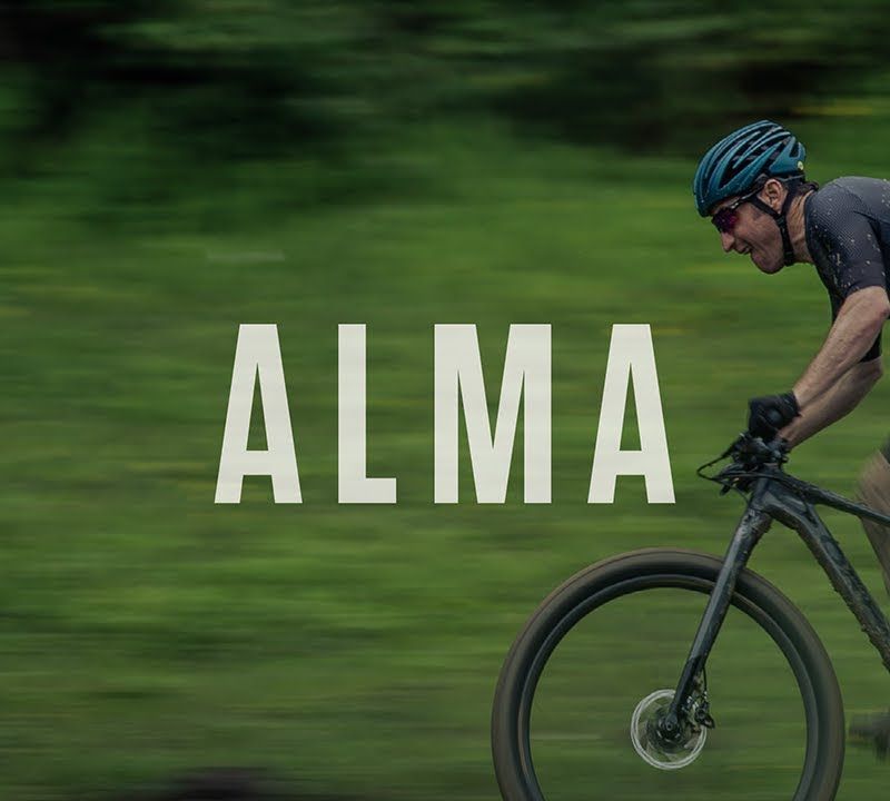 Rower górski Orbea Alma H50 black/green 17