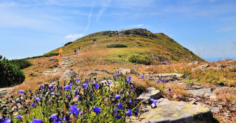 Szlaki na Babią Górę: skąd najlepiej wejść na Królową Beskidów?